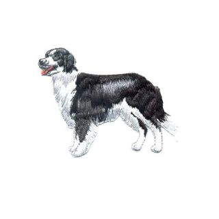 Brodyrmärke Border Collie stående