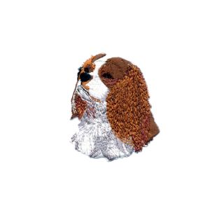 Brodyrmärke Cavalier King Charles Spaniel