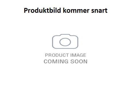 Munkorg Rottweiler (hane), Cane Corso, Moloss hundar